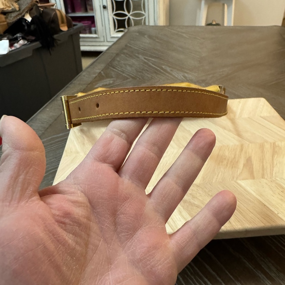 Louis Vuitton Mustard Crossbody Bag - Picture 12 of 12